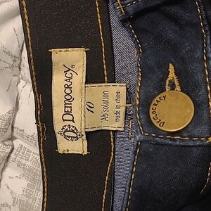 Democracy Jens (103)